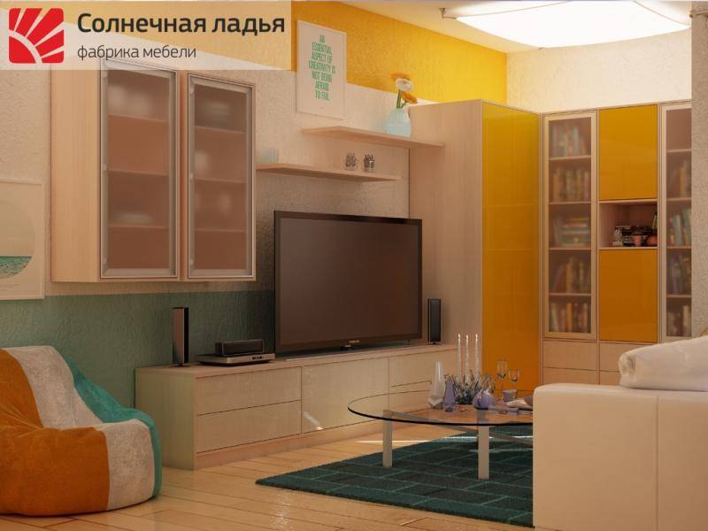 шкаф - купе для гостиной 15 в Мурманске