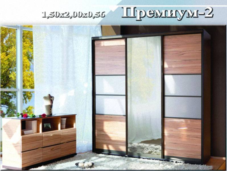 шкаф-купе «премиум 2» в Мурманске