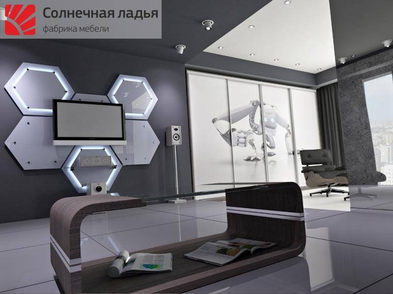 шкаф - купе для гостиной 11 в Мурманске