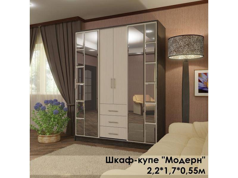 шкаф-купе в стиле модерн в Мурманске