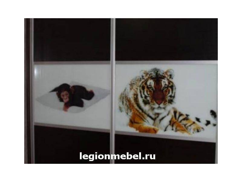 темный шкаф-купе с фотопечатью в Мурманске