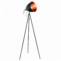 торшер eglo chester 49386 в Мурманске