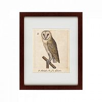 картина: one owl, 1560 в Мурманске