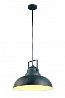 подвесной светильник arte lamp martin a5213sp-1bg в Мурманске