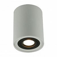 потолочный светильник arte lamp a5644pl-1wh в Мурманске