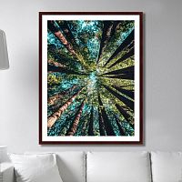 картина: deep forest в Мурманске