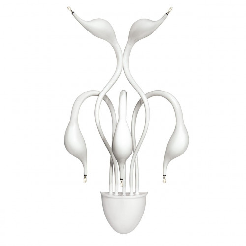 бра lightstar cigno collo wt 751656 в Мурманске