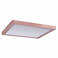 потолочный светодиодный светильник paulmann atria 70873 в Мурманске