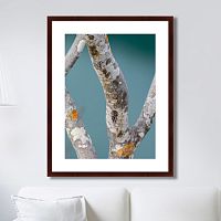 картина: trees on the galapagos islands, ecuador no3 в Мурманске
