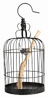 декоративная клетка с птичкой jaula в Мурманске