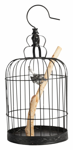 декоративная клетка с птичкой jaula в Мурманске