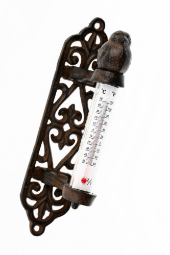 термометр снегирь в Мурманске