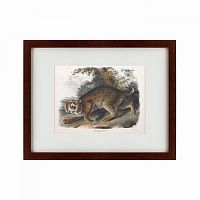 картина: bobcat, 1839 в Мурманске