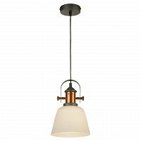 подвесной светильник lussole loft grlsp-9846 в Мурманске