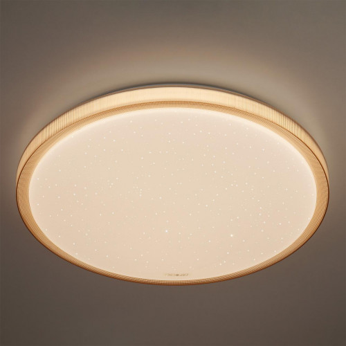 потолочный светодиодный светильник eurosvet sandy 40015/1 led кофе в Мурманске