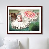 картина: water lily during bloom, 1870г. в Мурманске