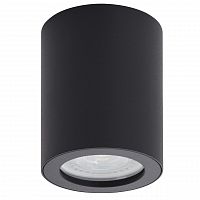 потолочный светильник denkirs dk3007-bk в Мурманске