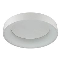 потолочный светодиодный светильник odeon light sole 4062/40cl в Мурманске