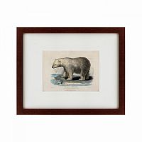 картина: white polar bear on an ice, 1830 в Мурманске