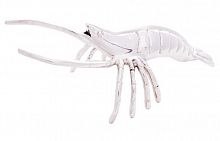 декор креветка в Мурманске