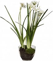 декор allium в Мурманске