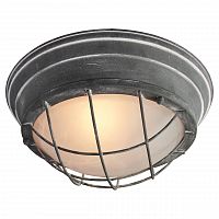 потолочный светильник lussole loft grlsp-9881 в Мурманске
