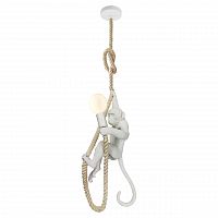 подвесной светильник lussole loft aya grlsp-9993 в Мурманске