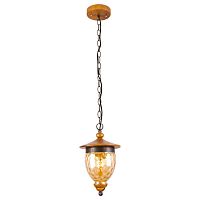 подвесной светильник arte lamp catena a6711sp-1br в Мурманске