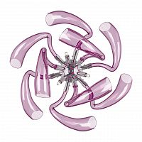 бра lightstar stella 892668 в Мурманске