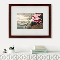 картина: roseate spoonbill, 1827 в Мурманске