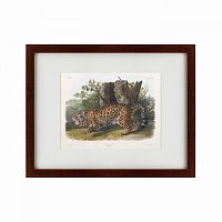 картина: jaguar, 1841 в Мурманске