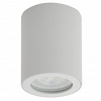 потолочный светильник denkirs dk3007-wh в Мурманске