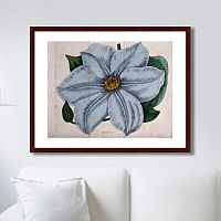 картина: exotic plants of the world №13, 1815г. в Мурманске