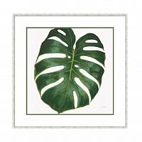 постер monstera зеленый в Мурманске