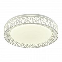 потолочный светодиодный светильник f-promo creatura 2314-5c в Мурманске