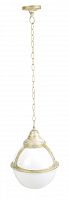 уличный подвесной светильник arte lamp monaco a1495so-1wg в Мурманске