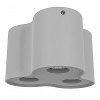 потолочный светильник lightstar binoco 052039 в Мурманске