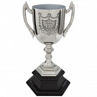 кубок наградной 14,5*14*29 в Мурманске