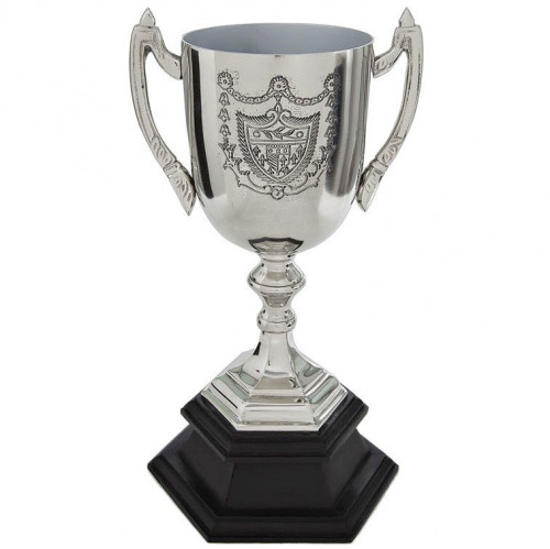 кубок наградной 14,5*14*29 в Мурманске