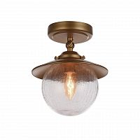 потолочный светильник favourite farola 2027-1u в Мурманске