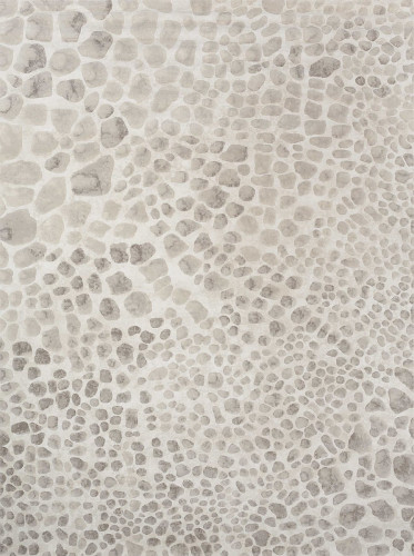 ковер ivory 64227i6575 120x170 в Мурманске
