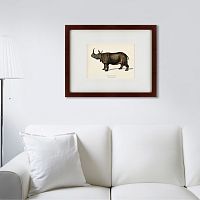 картина: rhinoceros ancienne gravure, 1849 в Мурманске