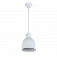 подвесной светильник arti lampadari colata e 1.3.p1 w в Мурманске