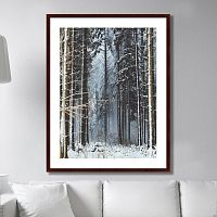 картина: forest, upper austria в Мурманске
