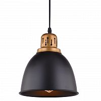 подвесной светильник arte lamp eurica a4245sp-1bk в Мурманске