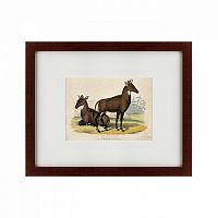 картина: two nilgais, 1830 в Мурманске