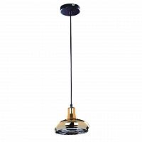 подвесной светильник spot light fiji 9704112 в Мурманске