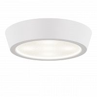 потолочный светодиодный светильник lightstar urbano 214904 в Мурманске