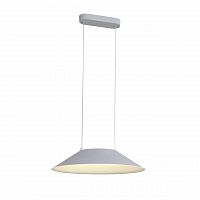 подвесной светодиодный светильник st luce pitto sl427.513.01 в Мурманске