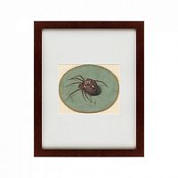 картина: spider, 1690 в Мурманске